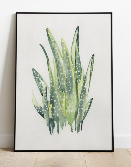 Photo  frames mockup