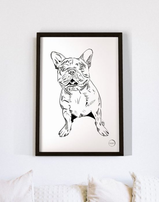 Frenchie